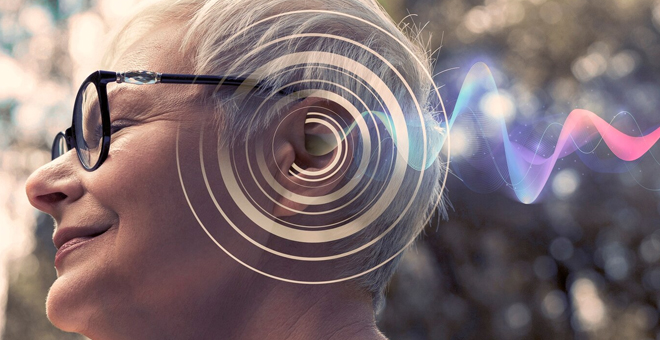 Ses Y�kseltme Cihazlar�